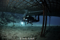 Diver under plattform by Andy Kutsch 